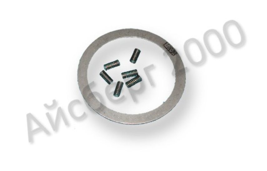 Комплект запасных частей к нагнетательному клапану (1 пластина + 6 пружин)