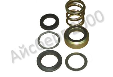 Сальник в сборе ФВ6-29-00а, d 24 мм (без крышки)