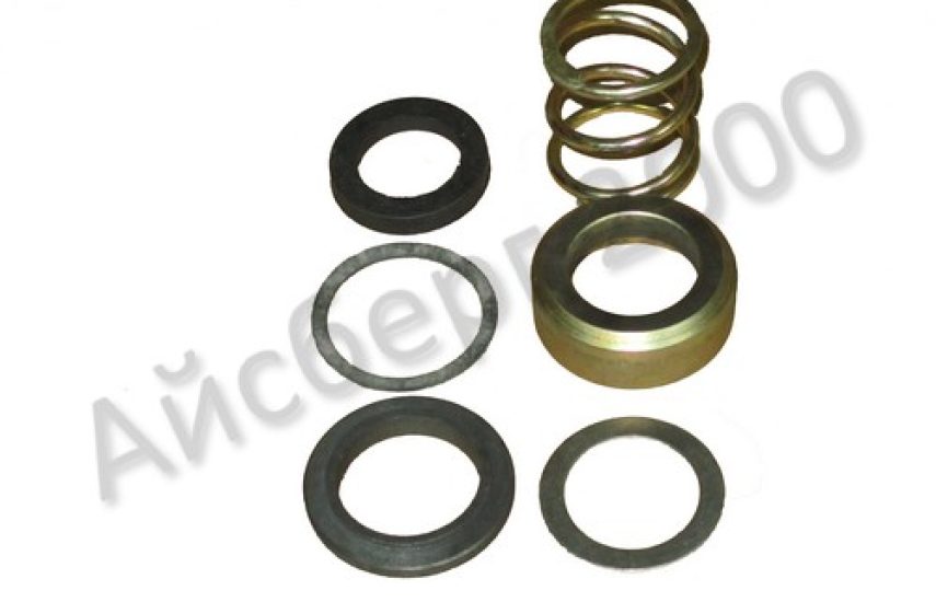 Сальник в сборе ФВ6-29-00а, d 24 мм (без крышки)