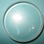 Стекло масломерное